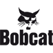bobcat